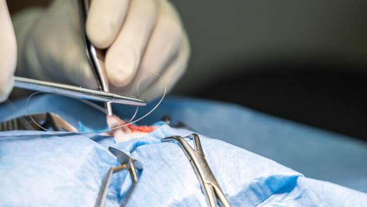 Offre emploi assistanat chirurgie Bordeaux Sud