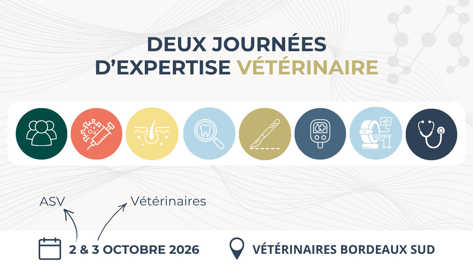 VISUEL CONGRÈS_HAUT DE PAGE_SITE_V1